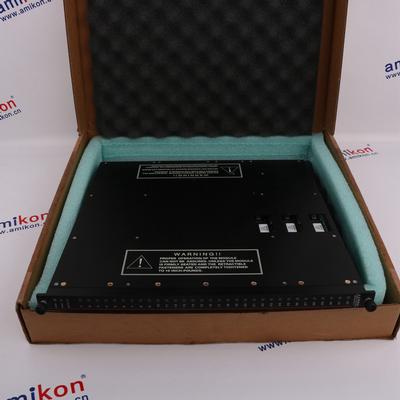 TRICONEX 3003 Distributed Control System (DCS)  | sales2@amikon.cn 